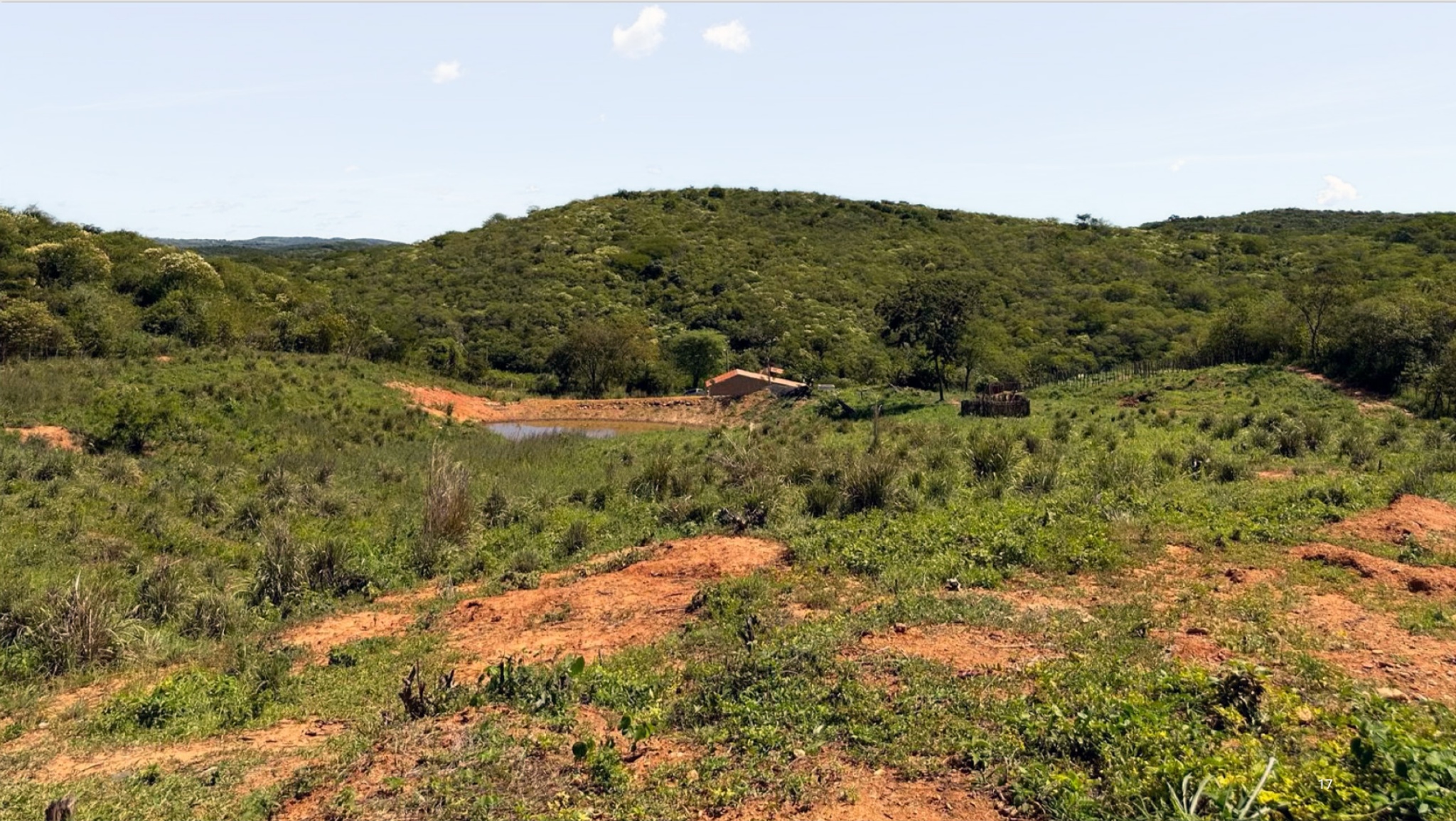 Projeto S&atilde;o Francisco de cobre e ouro